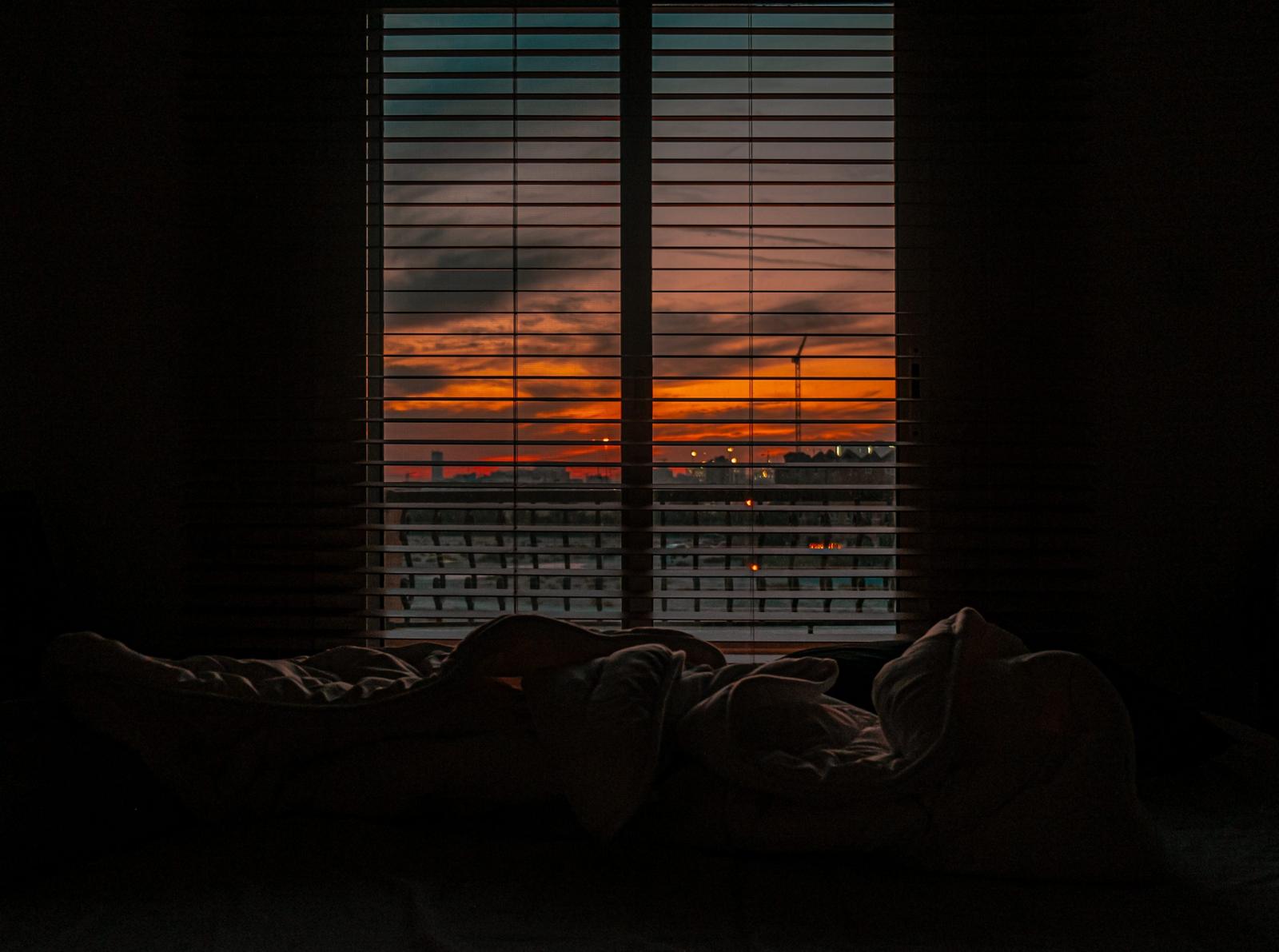The dream she had last night